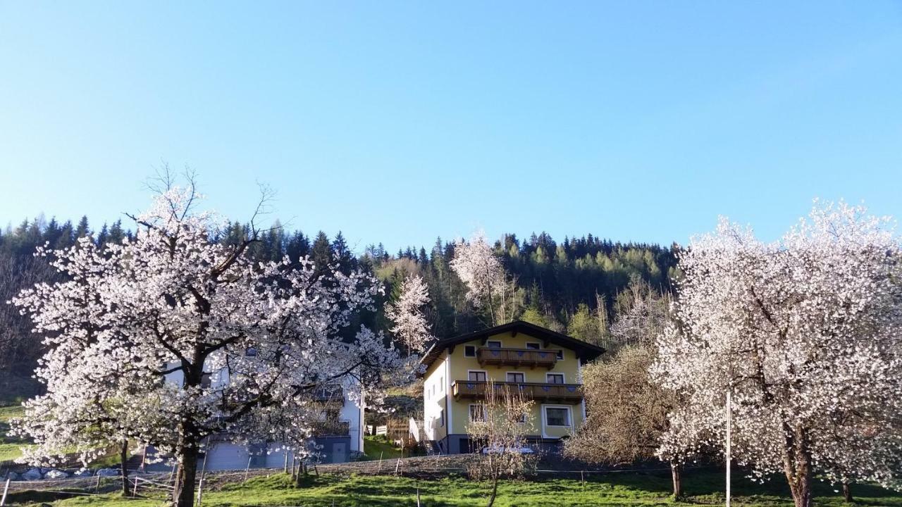 Ferienhaus Karin Fusch an der Glocknerstraße Esterno foto