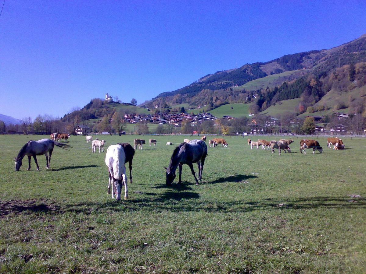 Ferienhaus Karin Fusch an der Glocknerstraße Esterno foto